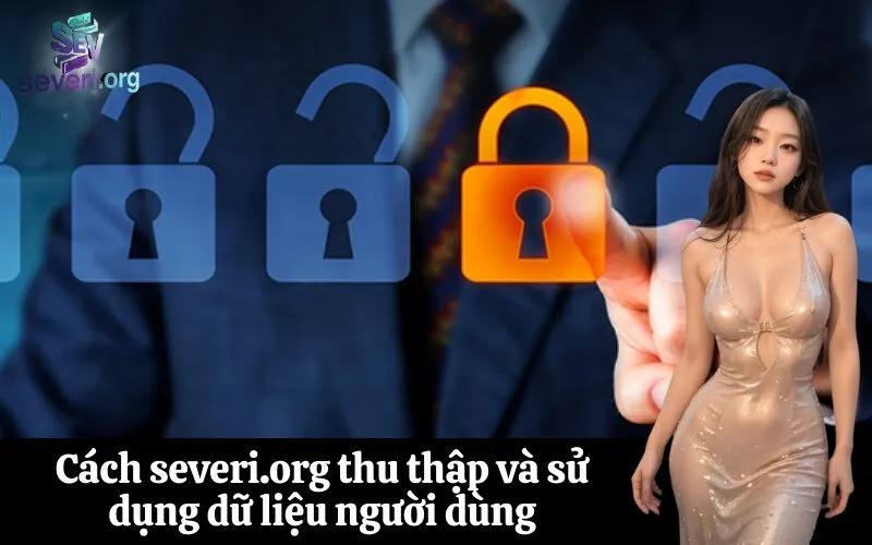 Cách severi.org thu thập và sử dụng dữ liệu người dùng
